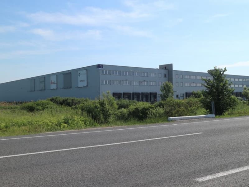 Logicor Timisoara